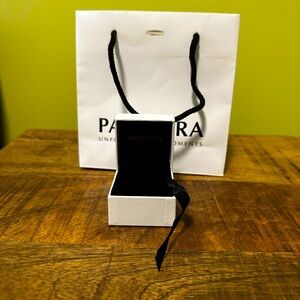 Empty Pandora charm box and the paper  bag for box with charm